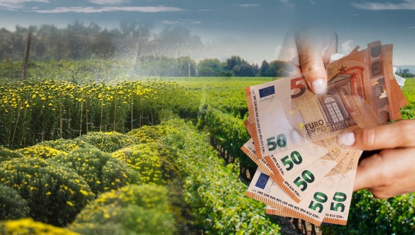 Στην τελική ευθεία η Νέα ΚΑΠ 2028-2034. Αντιδράσεις για το ενιαίο Ταμείο 